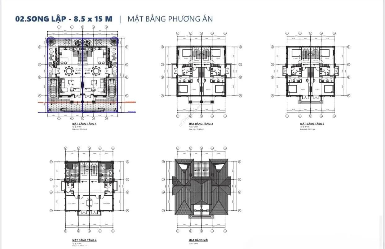 Biệt Thự Song Lập Vinhomes Đan Phượng Wonder City 3 Mặt bằng phương án cấu trúc thiết kế biệt thự song lập